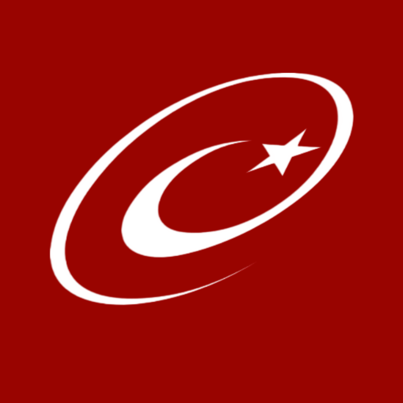 E-Devlet Icon